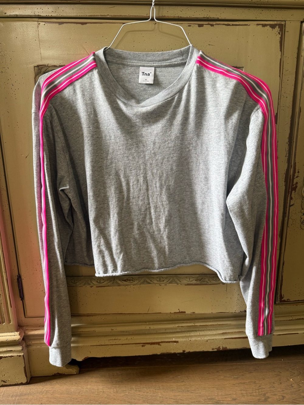 Tna Aritzia Cropped Grey long sleeve  with Pink Stripe Detail